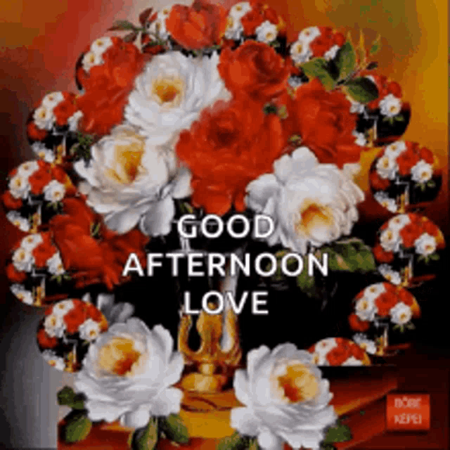 Good Afternoon Rollygifs GIF