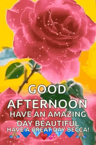 Good Afternoon GIF