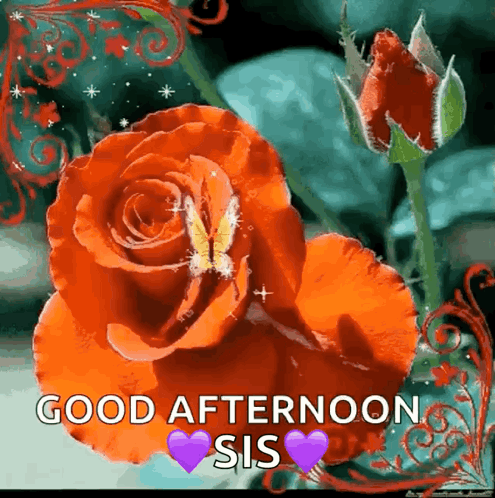 Good Afternoon Sparkles GIF