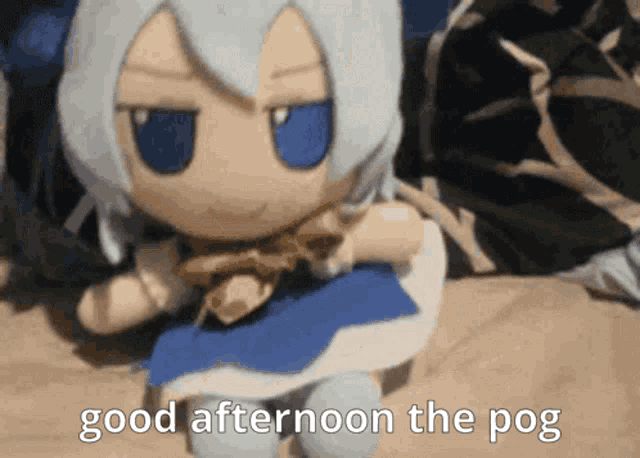 Good Afternoon The Pog GIF