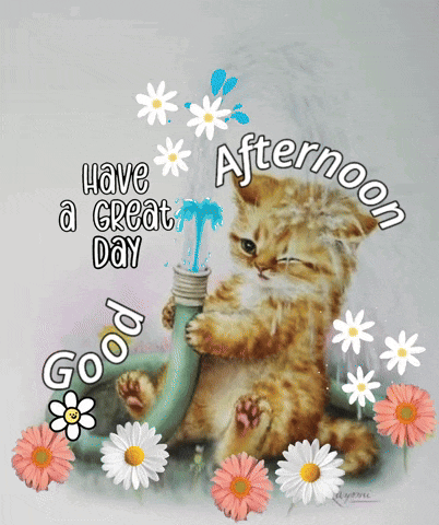 Good Afternoon GIF