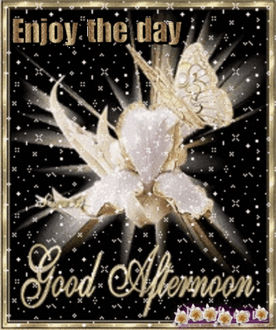 Good Afternoon GIF