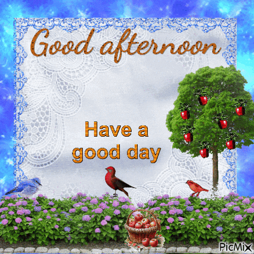 Good Afternoon GIF