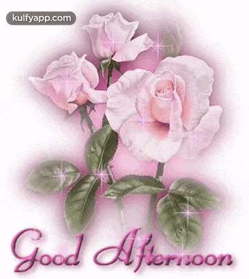 Good Afternoon.Gif GIF