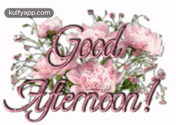 Good Afternoon.Gif GIF