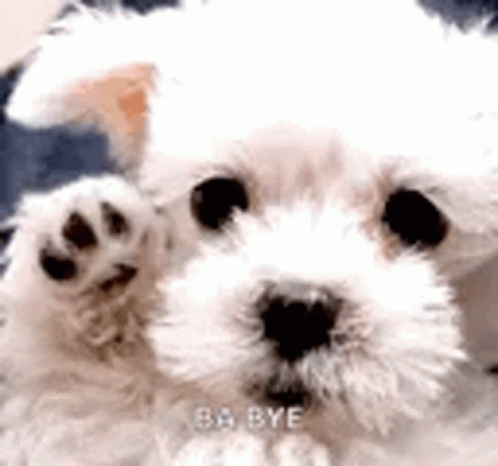 Good Bye Bye GIF