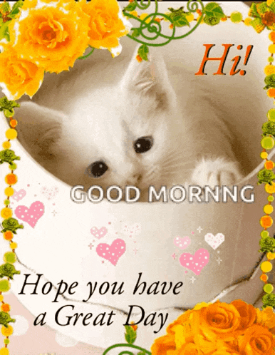 Good Day Hi GIF