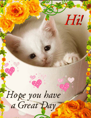 Good Day Hi GIF. This 385 x 498 animated GIF is part of our liebe gruse zum donnerstag collection. Related themes include cat, good day, heart. Created by…