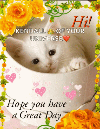 Good Day Hi GIF. This 385 x 498 animated GIF is part of our guten morgen und schonen tag collection. Related themes include cat, good day, heart. Created by…
