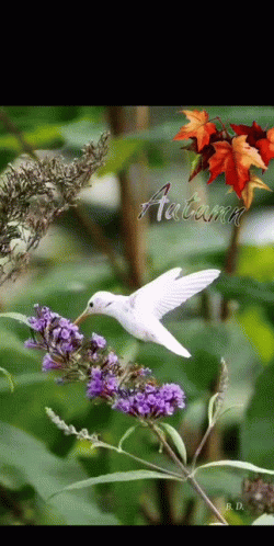 Good Day GIF
