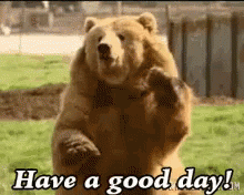 Good Day GIF