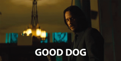 Good Dog Good Boy GIF. This 498 x 253 animated GIF is part of our john wick dog collection. Related themes include good job, john wick, proud. Created by…