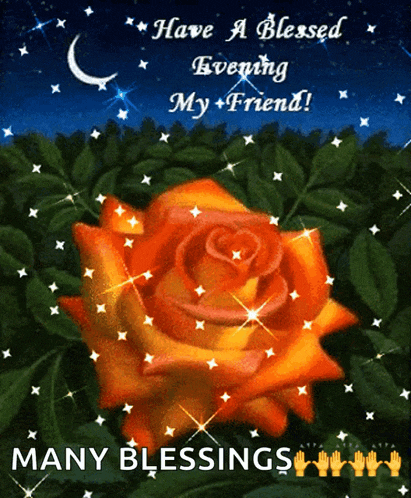 Good Evening GIF
