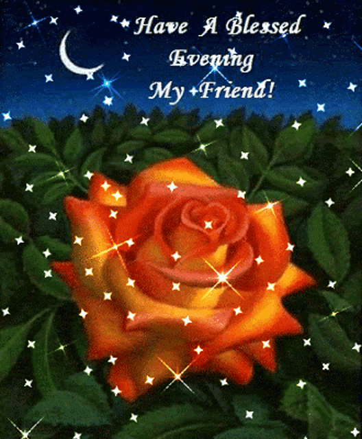 Good Evening GIF