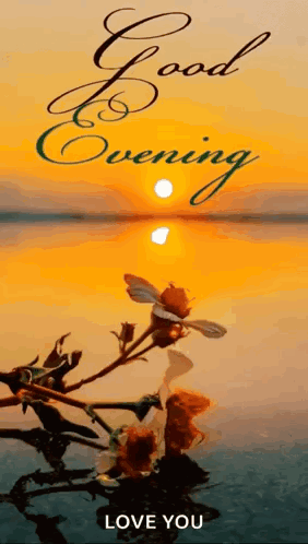 Good Evening Gif Sunset GIF. This 282 x 498 animated GIF is part of our immagini buona serata collection. Related themes include sunset. Created by MyGigd…