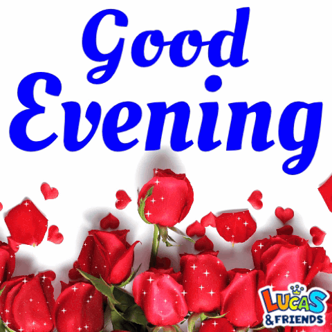 Good Evening Good Evening Everyone GIF. This 480 x 480 animated GIF is part of our immagini buona serata collection. Related themes include good evening…