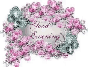 Good Evening Goodnight GIF