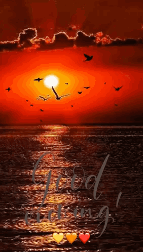Good Evening Images Good Evening Gif GIF. This 282 x 498 animated GIF is part of our immagini buona serata collection. Created by LaLa7658. View the…