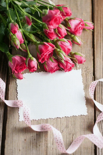 Good Evening Love GIF