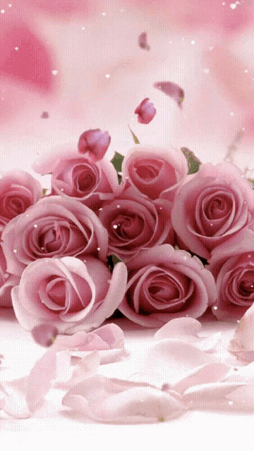 Good Evening Love GIF