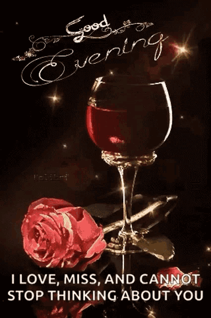 Good Evening Love You GIF