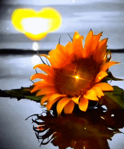 Good Evening New Images GIF. This 415 x 498 animated GIF is part of our immagini buona serata collection. Created by Alisaaaaaaaa. View the original…