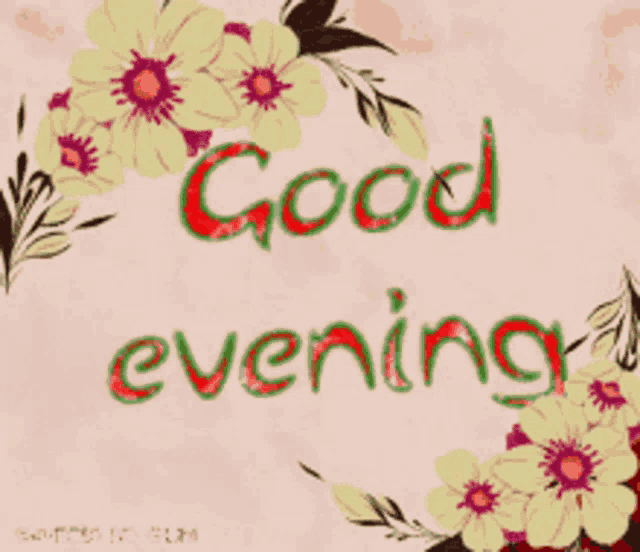 Good Evening Rollygifs GIF