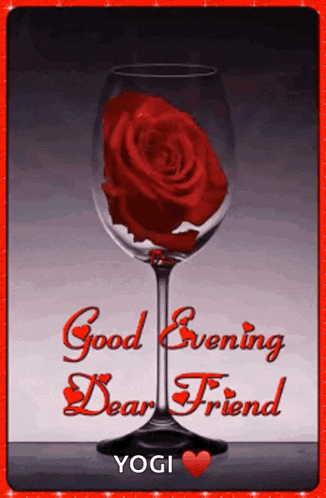 Good Evening Rollygifs GIF
