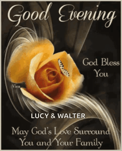 Good Evening Rollygifs GIF