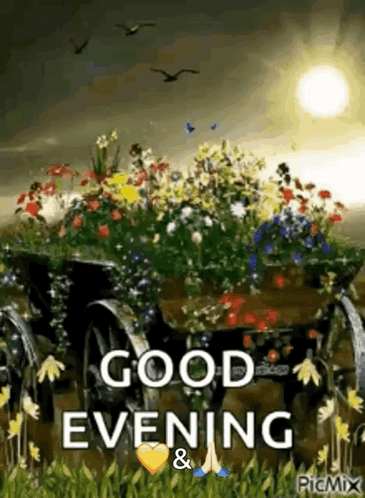Good Evening Rollygifs GIF. This 365 x 498 animated GIF is part of our immagini buona serata collection. Related themes include good evening. Created by…