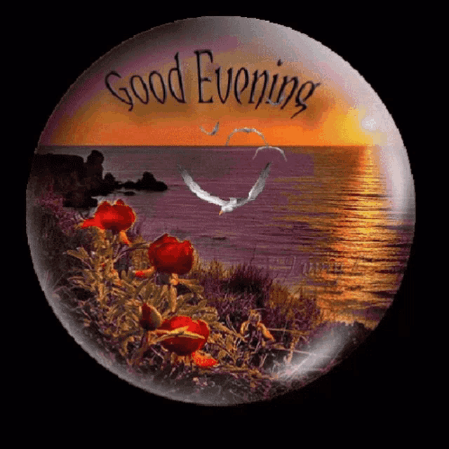 Good Evening Sunset GIF