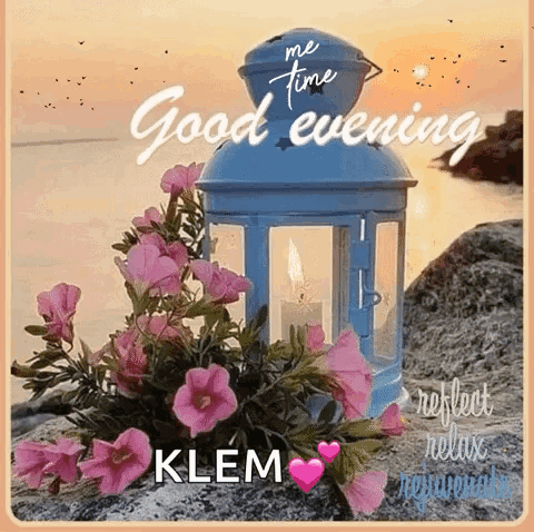 Good Evening GIF