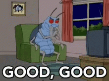 Good Family Guy GIF