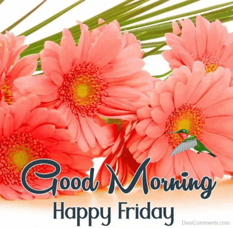 Good Friday Morning GIF