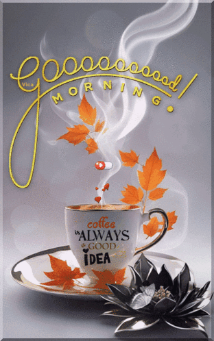 Good Friday Morning GIF
