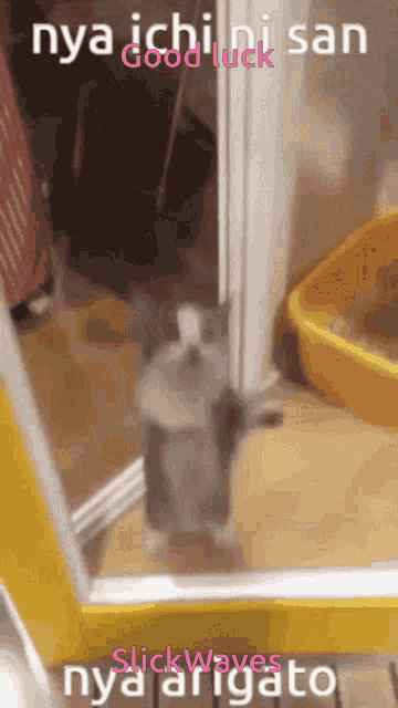 Good Luck GIF