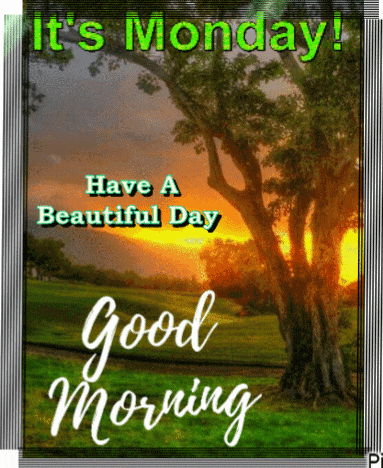 Good Monday Morning GIF