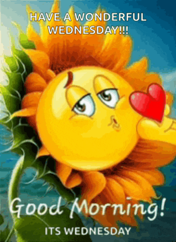 Good Moring Good Morning Images Meme
