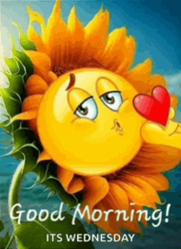 Good Moring Good Morning Images Meme