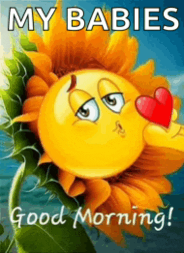 Good Moring Good Morning Images Meme