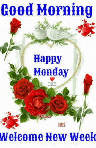 Good Mornig Manog Meme