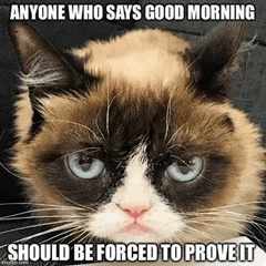 Good Morning 2024 Meme