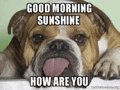 Good Morning 2024 Meme