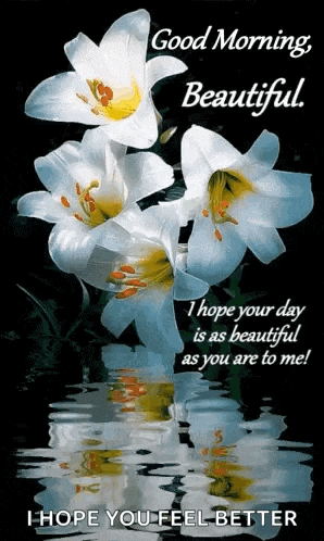 Good Morning Beautiful GIF
