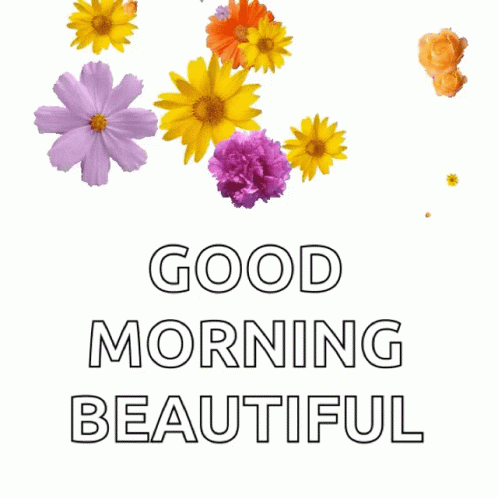 Good Morning Beautiful Great Day GIF. This 498 x 498 animated GIF is part of our buon 1 maggio collection. Related themes include good morning beautiful…