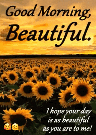 Good Morning Beautiful GIF