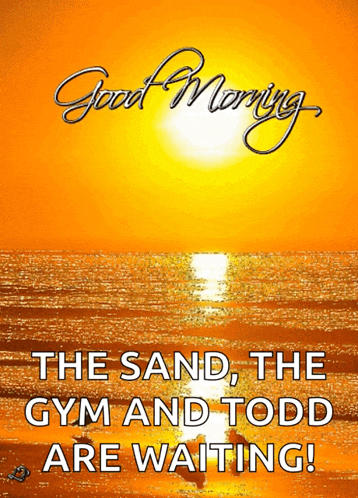 Good Morning Bird GIF