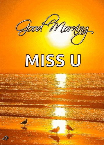Good Morning Bird GIF
