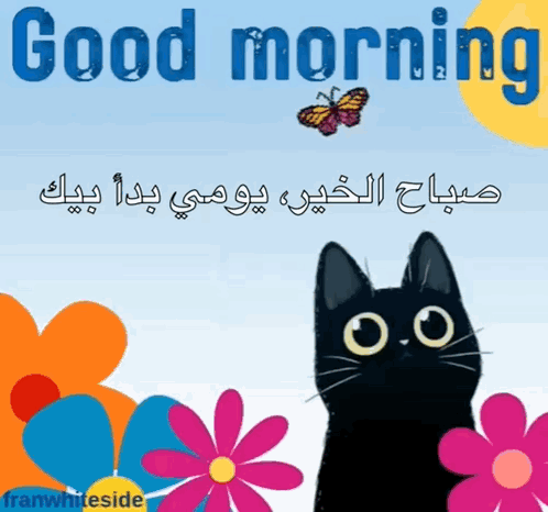 Good Morning Black Cat And Butterflies GIF