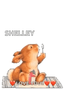 Good Morning Bunny GIF